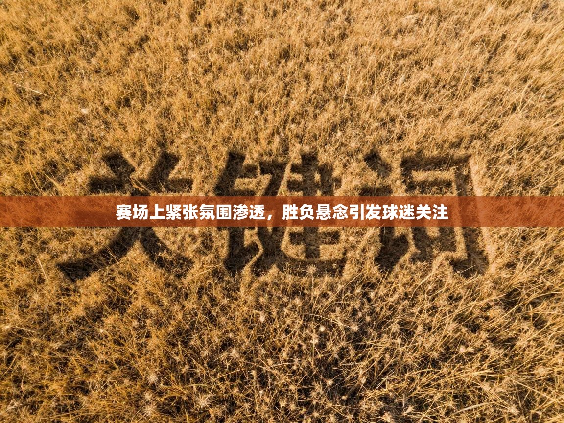 赛场上紧张氛围渗透，胜负悬念引发球迷关注  第2张
