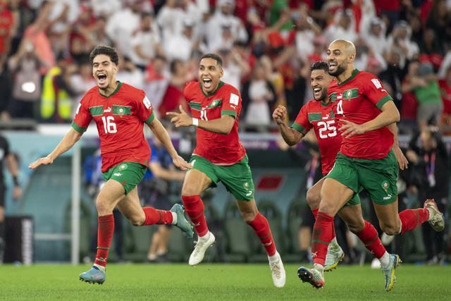 非洲杯新手崭露头角,实力获得认可 非洲杯新手崭露头角,实力获得认可