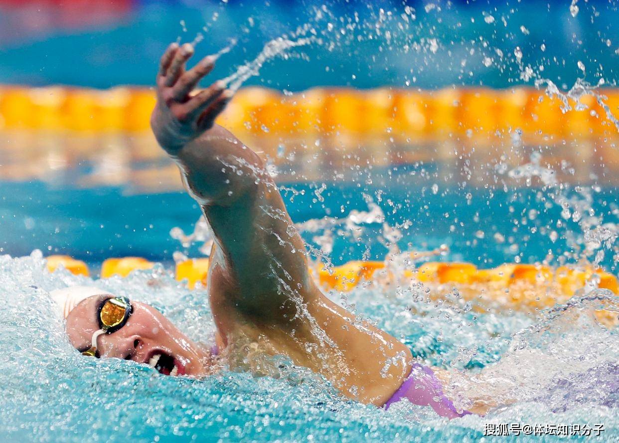 -荷兰选手在游泳比赛中勇夺金牌